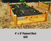 raised_bed_price-03-217x175